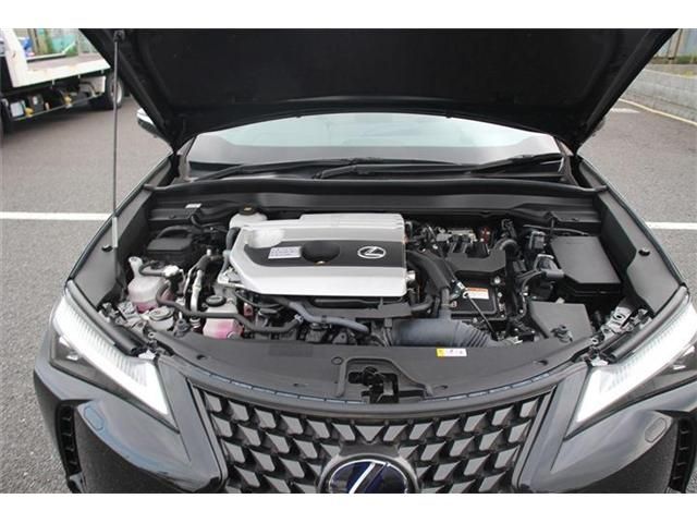 TOYOTA LEXUS UX250h 2019