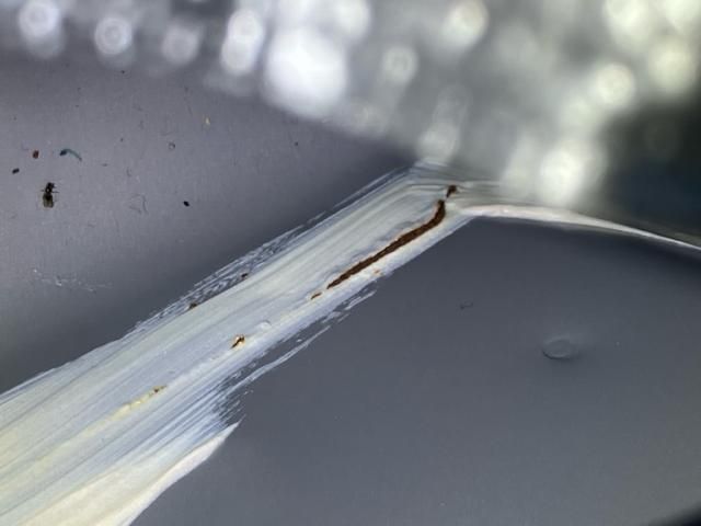 DAIHATSU MIRA Cocoa 4WD 2015