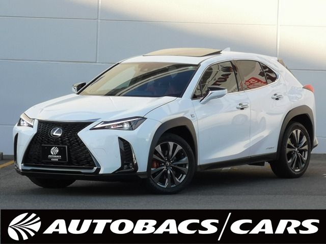TOYOTA LEXUS UX250h 2021