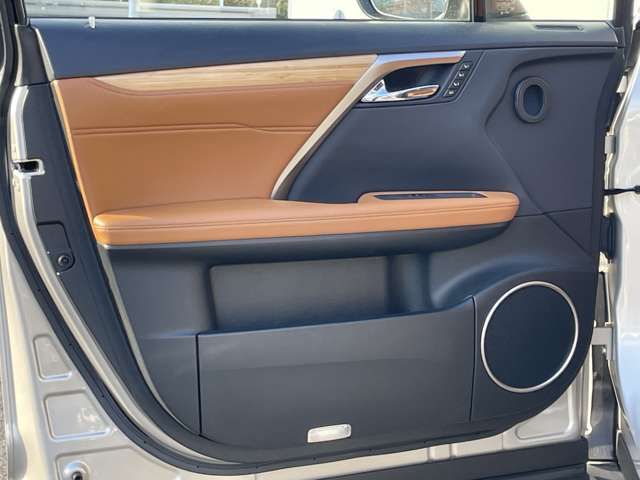 TOYOTA LEXUS RX450h AWD 2021