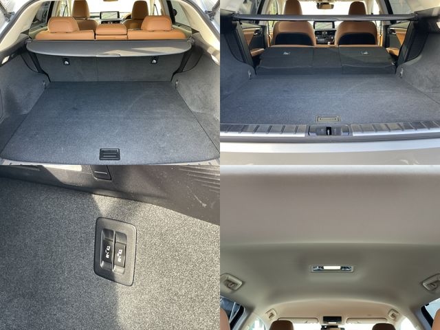 TOYOTA LEXUS RX450h AWD 2021