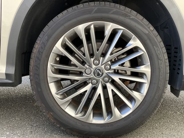 TOYOTA LEXUS RX450h AWD 2021