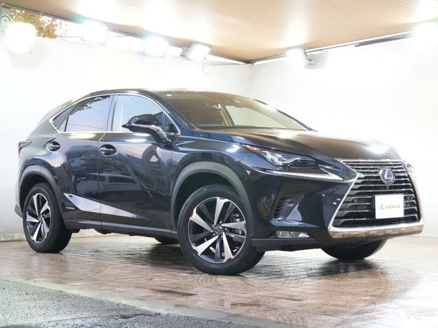 TOYOTA LEXUS NX300h 2019