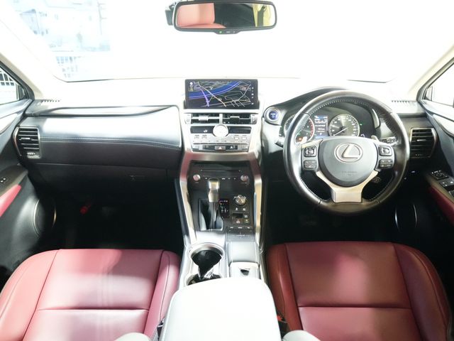 TOYOTA LEXUS NX300h 2019