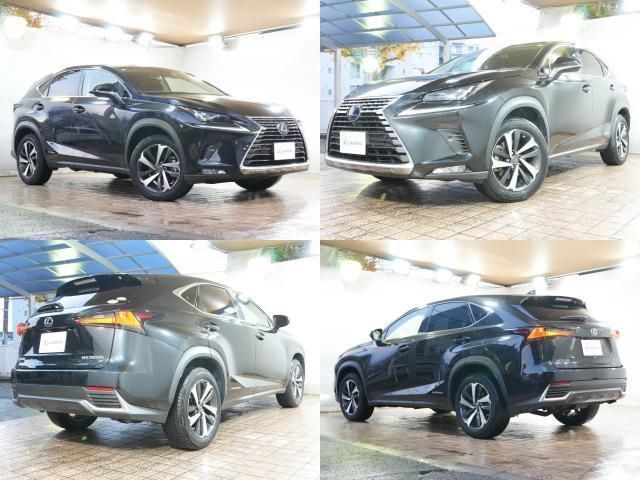 TOYOTA LEXUS NX300h 2019