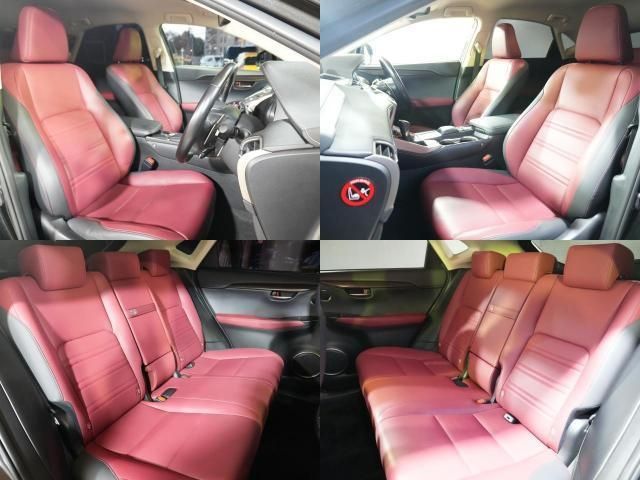 TOYOTA LEXUS NX300h 2019