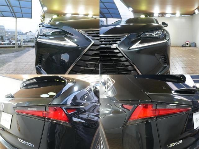 TOYOTA LEXUS NX300h 2019