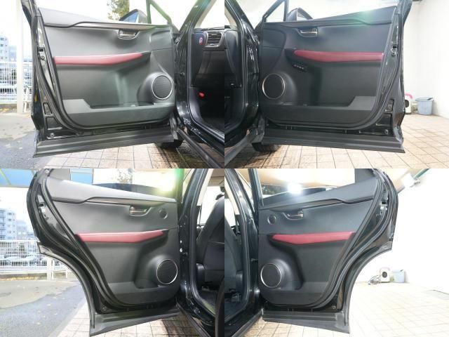 TOYOTA LEXUS NX300h 2019