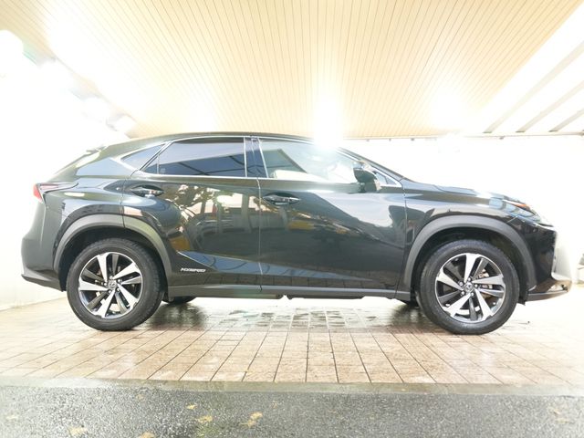 TOYOTA LEXUS NX300h 2019