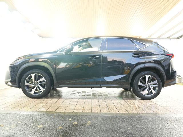 TOYOTA LEXUS NX300h 2019