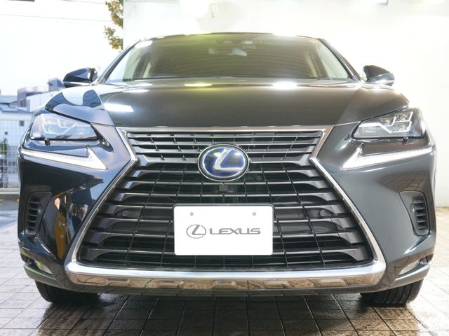 TOYOTA LEXUS NX300h 2019