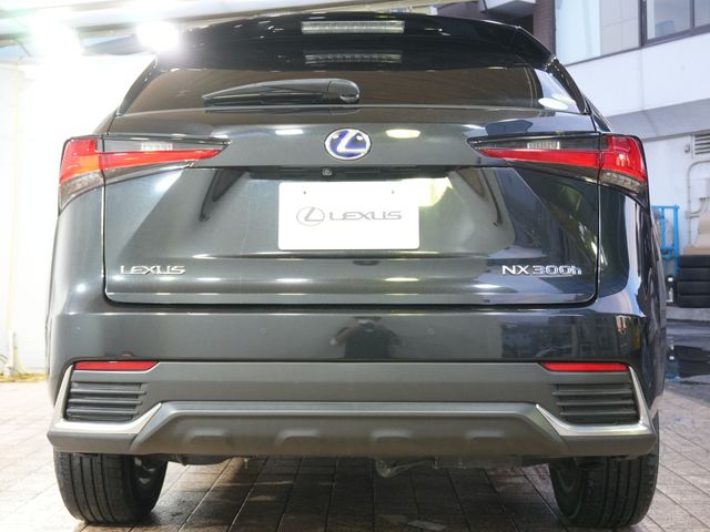 TOYOTA LEXUS NX300h 2019