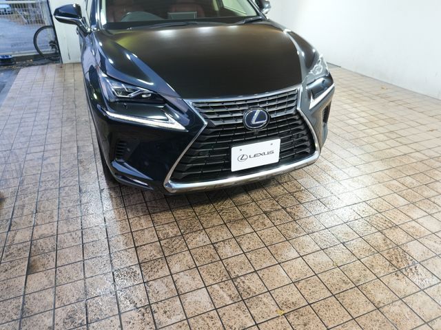 TOYOTA LEXUS NX300h 2019