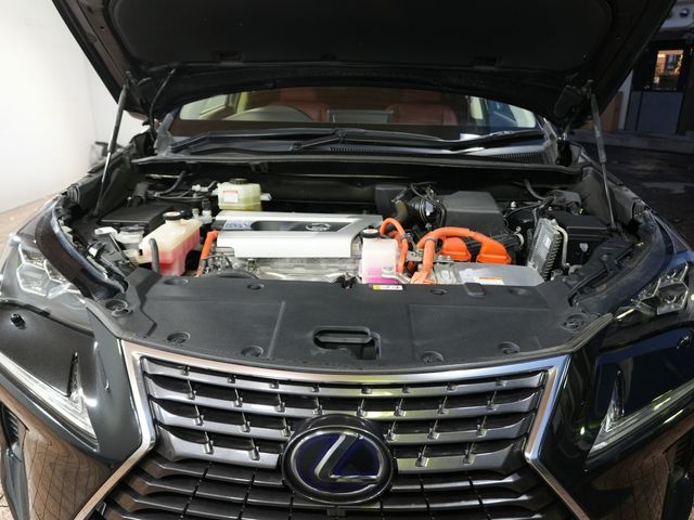 TOYOTA LEXUS NX300h 2019