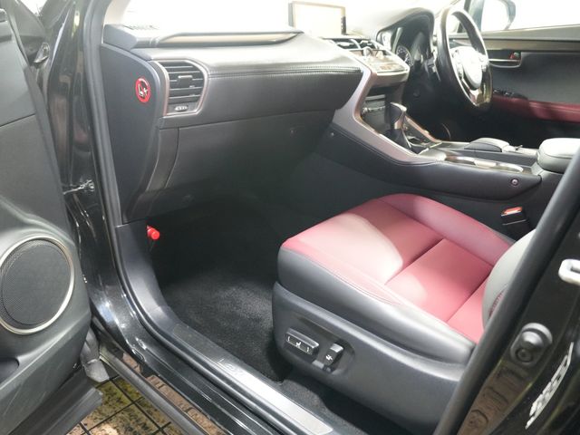 TOYOTA LEXUS NX300h 2019