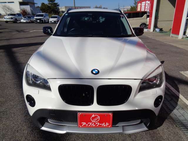 BMW BMW X1 2012