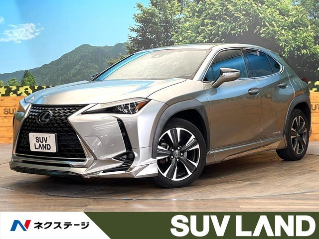 TOYOTA LEXUS UX250h 2019