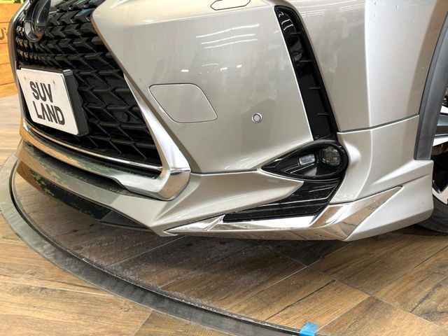 TOYOTA LEXUS UX250h 2019