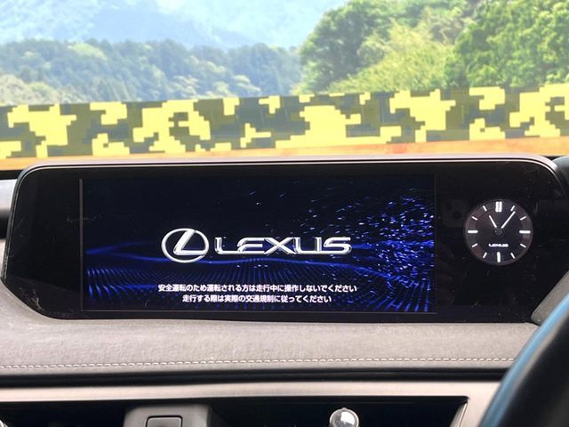 TOYOTA LEXUS UX250h 2019