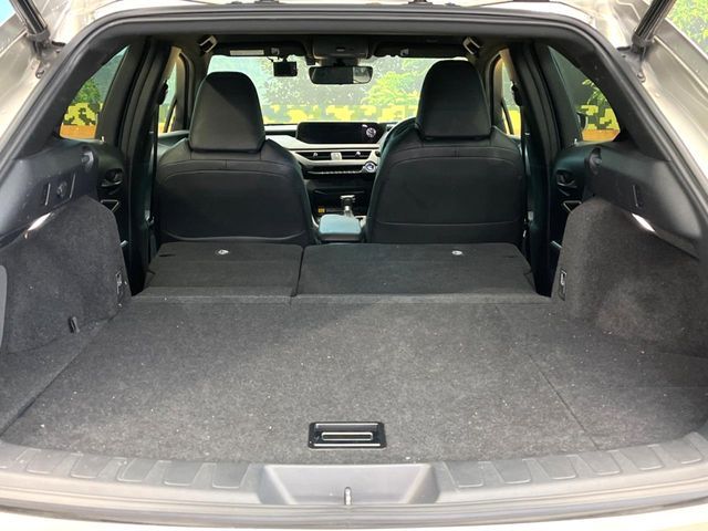 TOYOTA LEXUS UX250h 2019