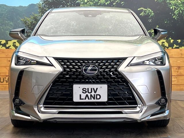 TOYOTA LEXUS UX250h 2019