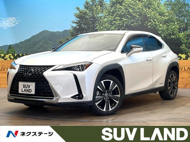 TOYOTA LEXUS UX250h 2020
