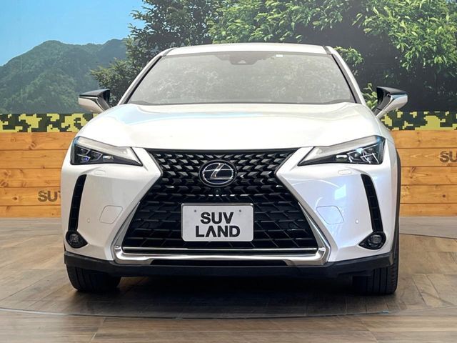 TOYOTA LEXUS UX250h 2020