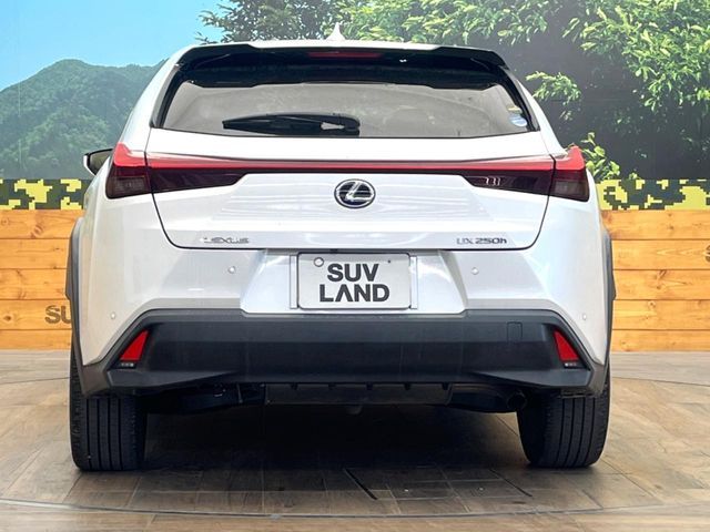 TOYOTA LEXUS UX250h 2020
