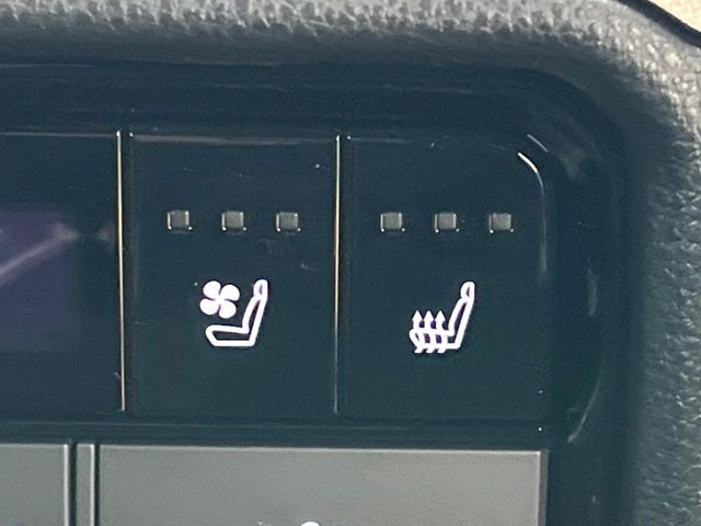 TOYOTA LANDCRUISER 250 2024