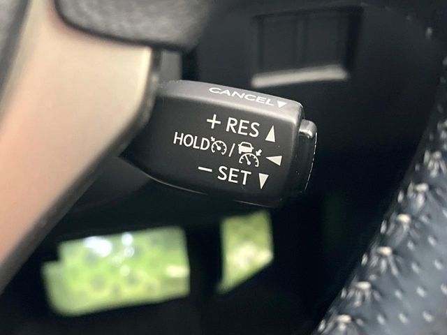 TOYOTA LEXUS NX300h 2019