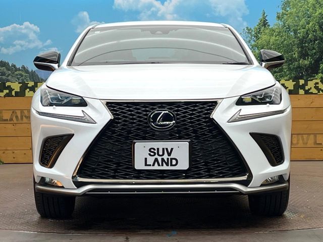 TOYOTA LEXUS NX300h 2019