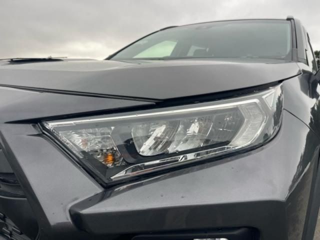 TOYOTA RAV4 4WD 2019