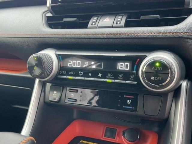 TOYOTA RAV4 4WD 2019