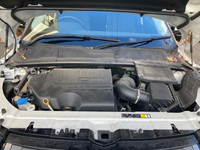 ROVER ROVER RANGE ROVER EVOGUE 2019