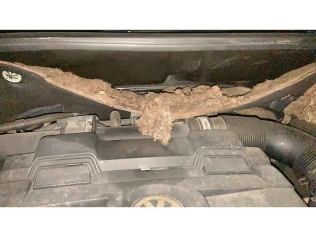 VOLKSWAGEN VOLKSWAGEN GOLF TOURAN 2011