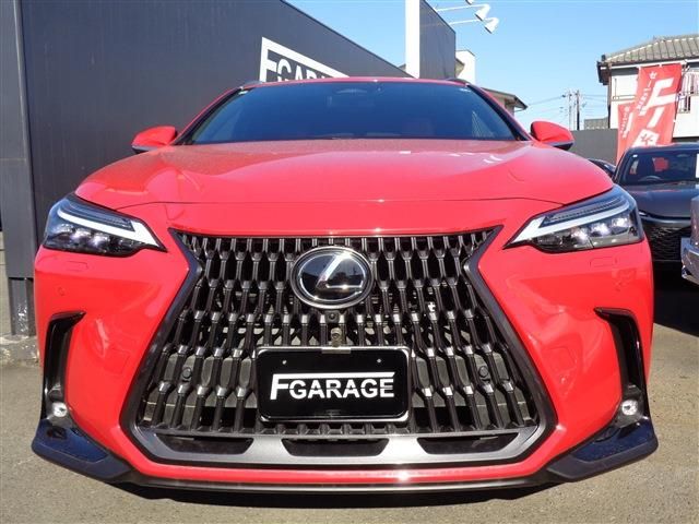 TOYOTA LEXUS NX450h+ AWD 2024