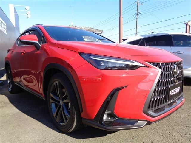 TOYOTA LEXUS NX450h+ AWD 2024