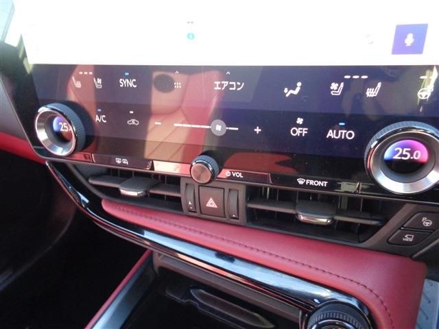 TOYOTA LEXUS NX450h+ AWD 2024