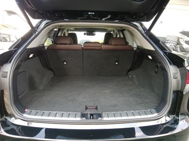 TOYOTA LEXUS RX450h AWD 2019