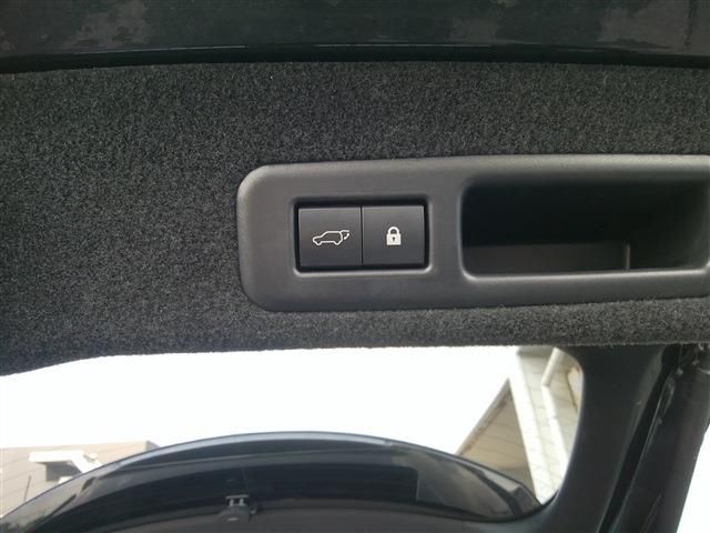 TOYOTA LEXUS RX450h AWD 2019