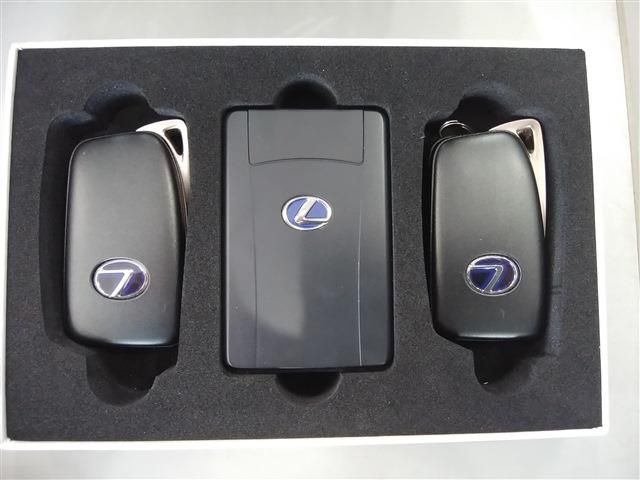 TOYOTA LEXUS RX450h AWD 2019