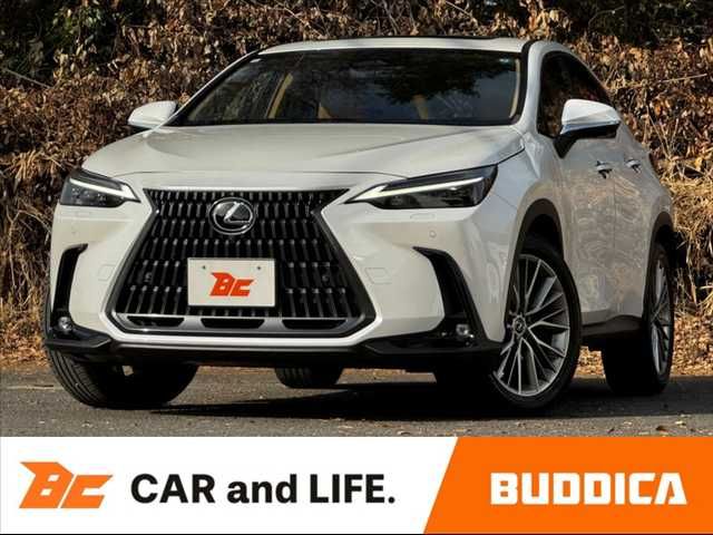 TOYOTA LEXUS NX250 2023