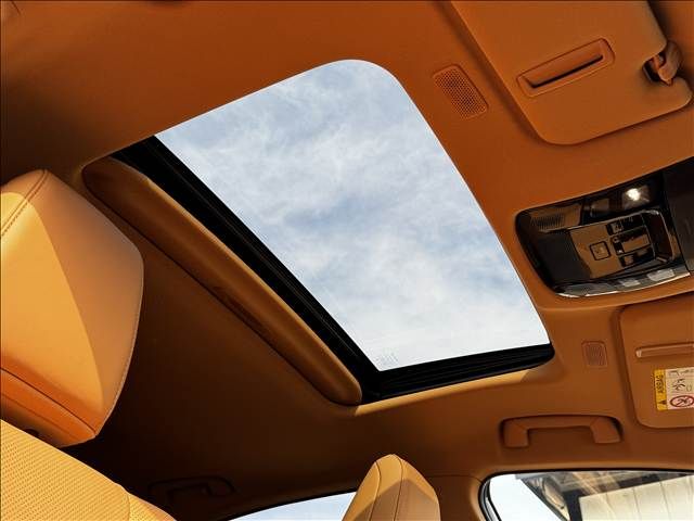 TOYOTA LEXUS NX250 2023