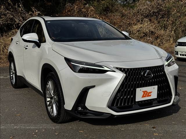 TOYOTA LEXUS NX250 2023