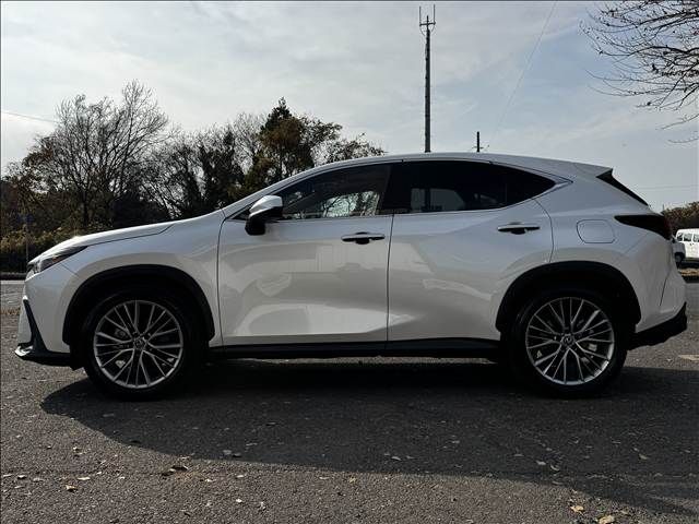 TOYOTA LEXUS NX250 2023