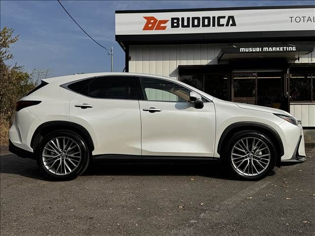 TOYOTA LEXUS NX250 2023