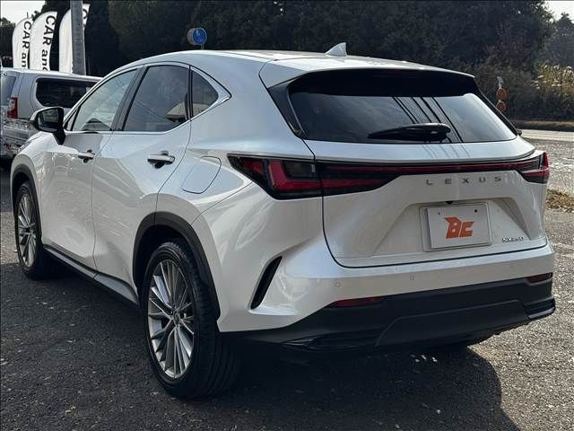 TOYOTA LEXUS NX250 2023