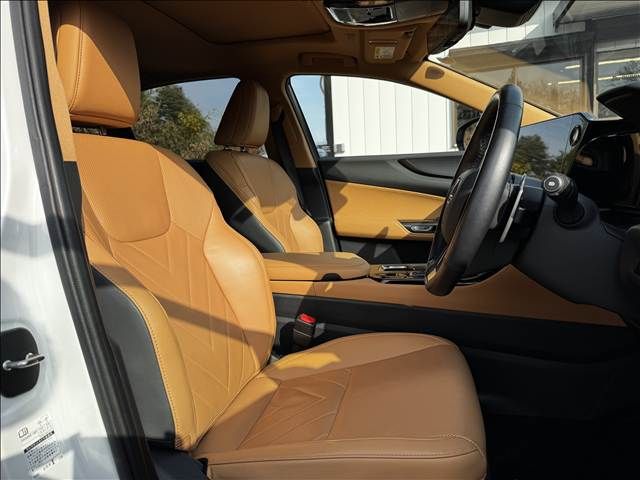 TOYOTA LEXUS NX250 2023