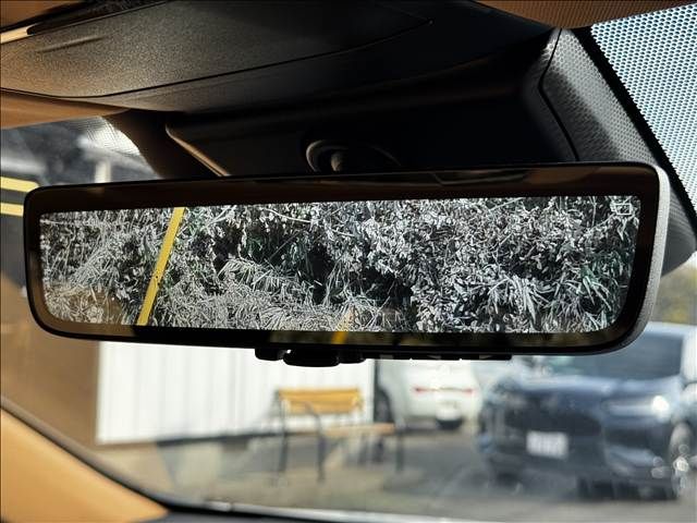 TOYOTA LEXUS NX250 2023