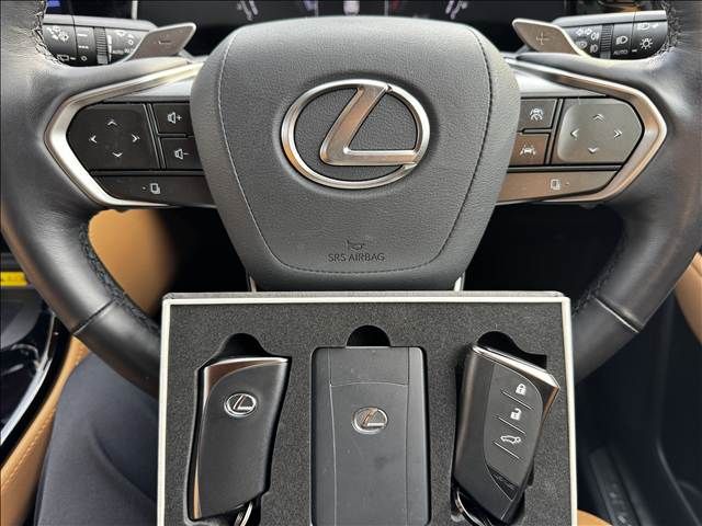 TOYOTA LEXUS NX250 2023